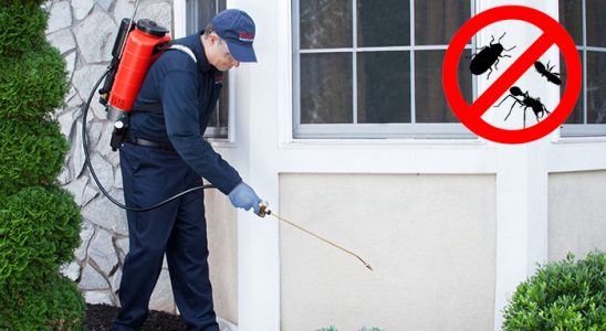 Uzunköprü Tahtakurusu İlaçlama böcek ilaçlama ve haşere kontrolü — ilaclama-tr.com